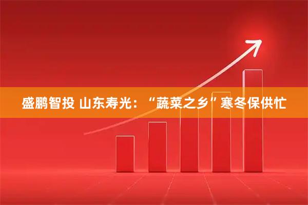 盛鹏智投 山东寿光：“蔬菜之乡”寒冬保供忙