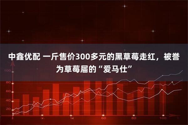 中鑫优配 一斤售价300多元的黑草莓走红，被誉为草莓届的“爱马仕”