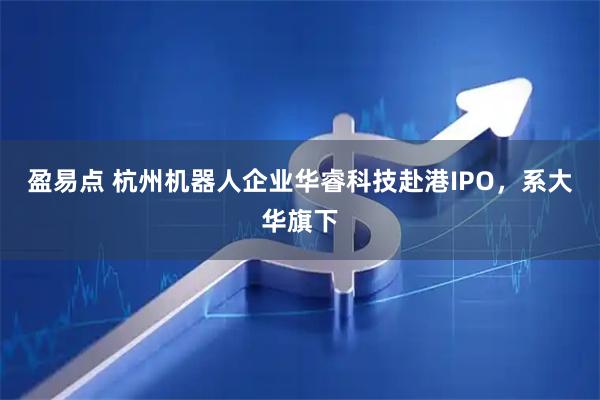 盈易点 杭州机器人企业华睿科技赴港IPO,系大华旗下